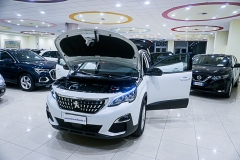 peugeot 3008-3 (3)