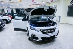 peugeot 3008-3 (5)