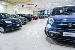 FIAT 500 L-1 (15d)