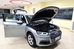 audi_1 (9)