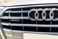 audi_3 (3)