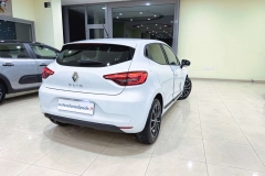 clio - 5 (5)