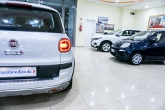 fiat 500L cross benzina 33