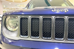 jeep _ 1 (19)