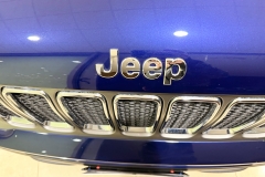 jeep _ 1 (21)