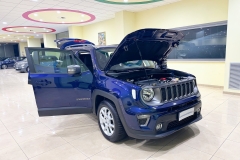 jeep _ 1 (8)