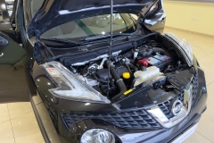 nissan juke outlet - 8 (1)