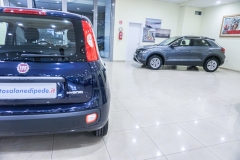 FIAT PANDA HYBRID USATA 22