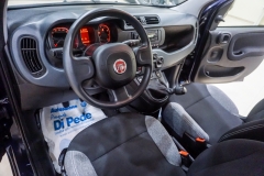 FIAT PANDA HYBRID USATA 31