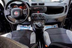 FIAT PANDA HYBRID USATA 32