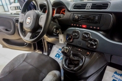 FIAT PANDA HYBRID USATA 36