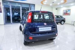 FIAT PANDA HYBRID USATA 6