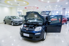 FIAT PANDA HYBRID USATA 7