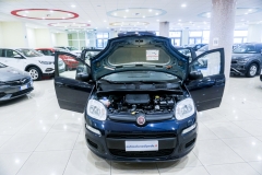 FIAT PANDA HYBRID USATA 8