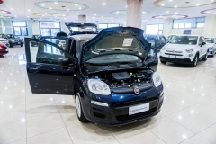 FIAT PANDA HYBRID USATA 9