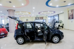 FIAT PANDA HYBRID USATA 9E