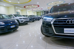 audi q5 quattro MHEV DIESEL USATA -(19)