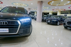 audi q5 quattro MHEV DIESEL USATA -(20)