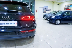 audi q5 quattro MHEV DIESEL USATA -(34)