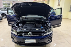 tiguan blue usata - 1 (7)