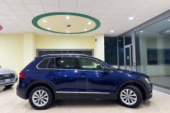 tiguan blue usata - 2 (1)