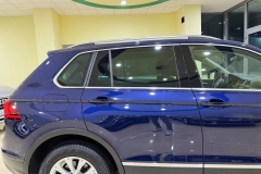 tiguan blue usata - 6 (7)